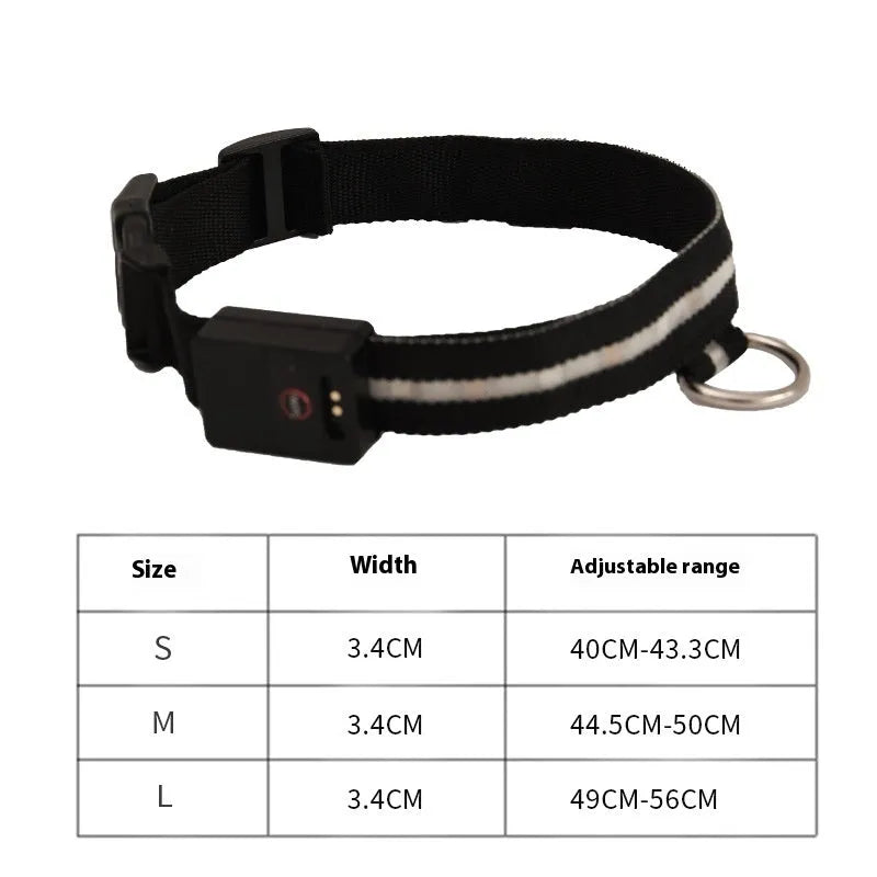 Black LED luminous dog collar with cartoon style on a dog's neck, alongside a separate hand rope.