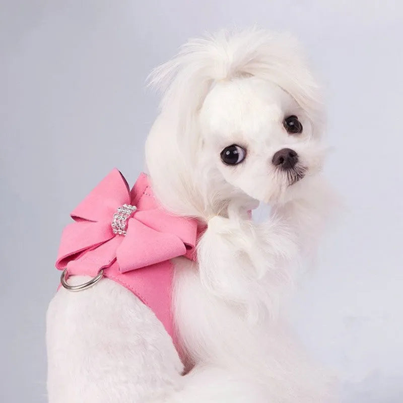 Puppy wearing microfiber chest strap with bowknot design in pink, blue, or orange colour
