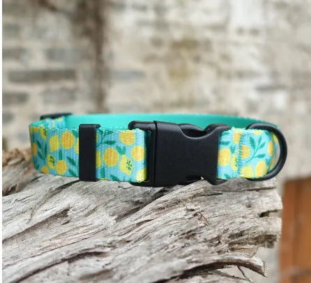 Floral pattern nylon ribbon dog collar in hanada blue with adjustable sizing for small to large dogs