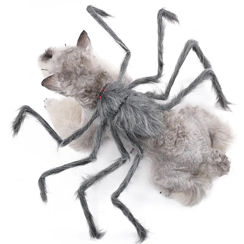 Halloween spider costume for pets in polyester fabric with S M L sizing options