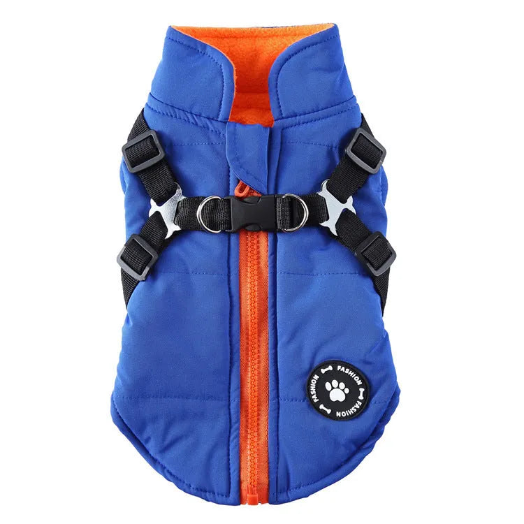 Dog wearing chest strap jacket with cotton padding and polyester outer fabric
