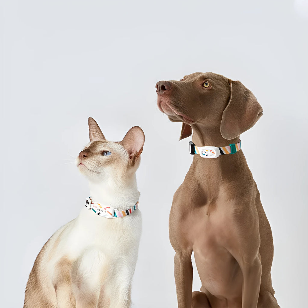 Pet smart wearable Bluetooth anti-lost device for cats and dogs, fashion simplicity style, shown in picture colour