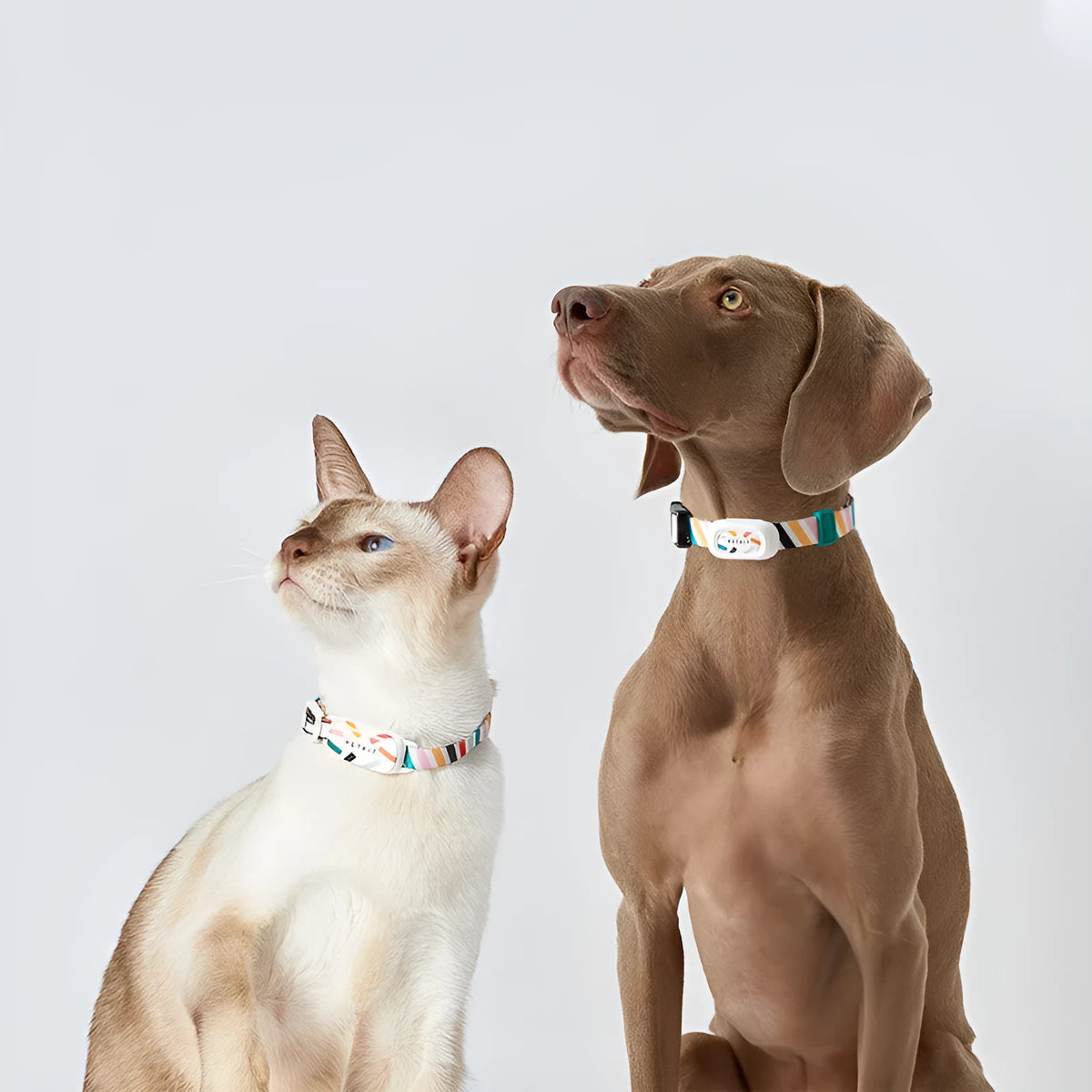Pet smart wearable Bluetooth anti-lost device for cats and dogs, fashion simplicity style, shown in picture colour