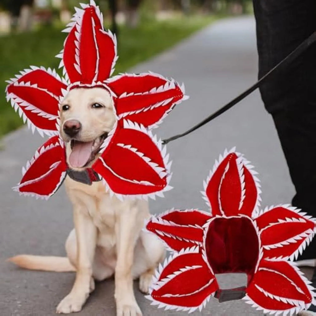 Dog wearing Halloween chomper demon costume with scary headband and flower details