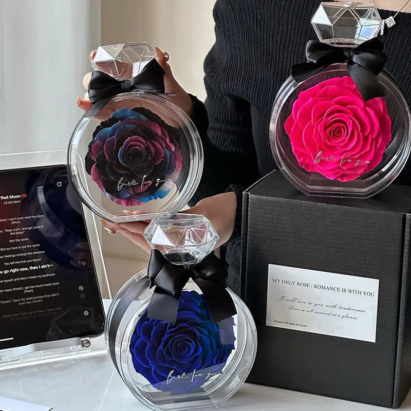 Dried rose in transparent plastic bottle display with cover, multiple colour options, home decor gift box