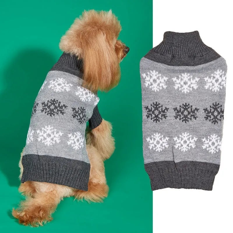 Grey dog sweater with white snowflake pattern on a small dog, showing knitted acrylic texture.