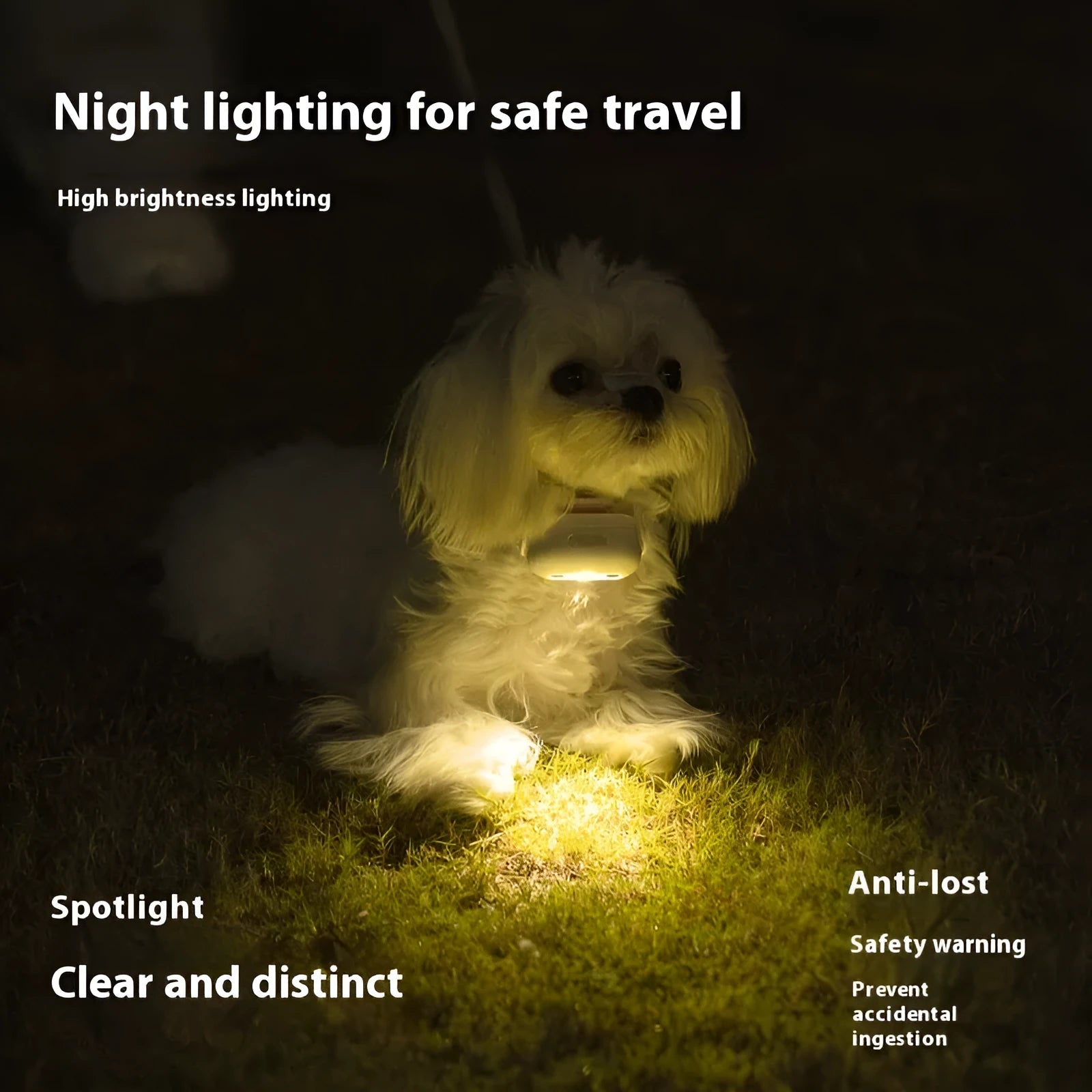 Pet luminous collar with integrated hanging lamp ring in four colour options