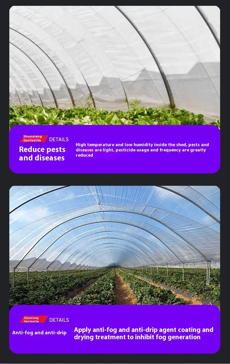 Clear plastic greenhouse film roll for vegetable shed insulation, 4 metres by 8 metres.