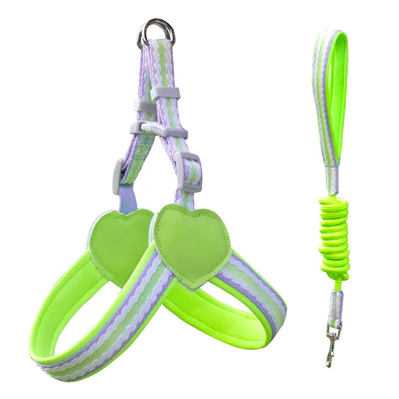 A dog wearing an emerald green nylon vest chest strap harness attached to a matching hand-held rope.