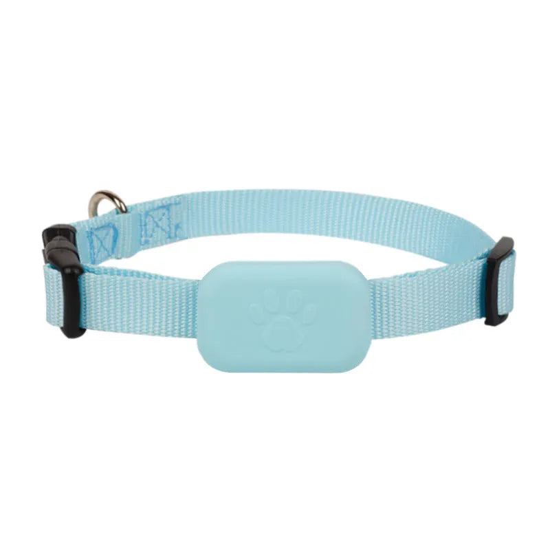 Pet positioning collar with adjustable band showing black, blue and pink colour options