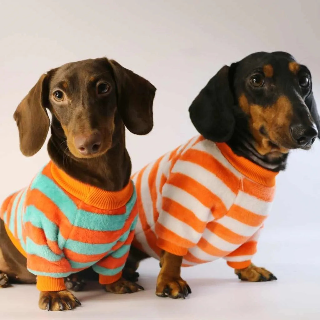 Orange and white striped round neck pet sweatshirt for dogs and cats
