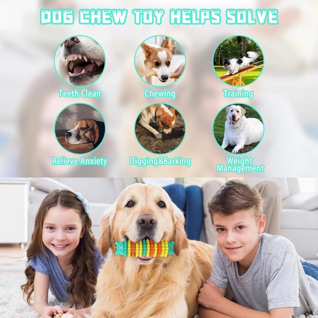 Blue caterpillar-shaped rubber dog chew toy for aggressive chewers