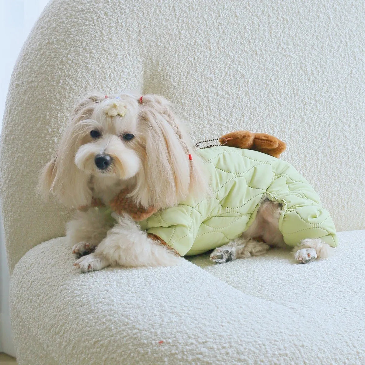 Extra thick band cotton pet clothing with toy bear pendant in light green