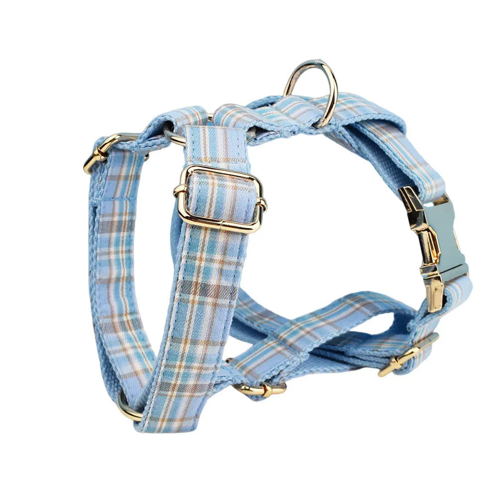 Sky blue grid pattern cloth dog collar and leash set with matching bow and vest on a dog