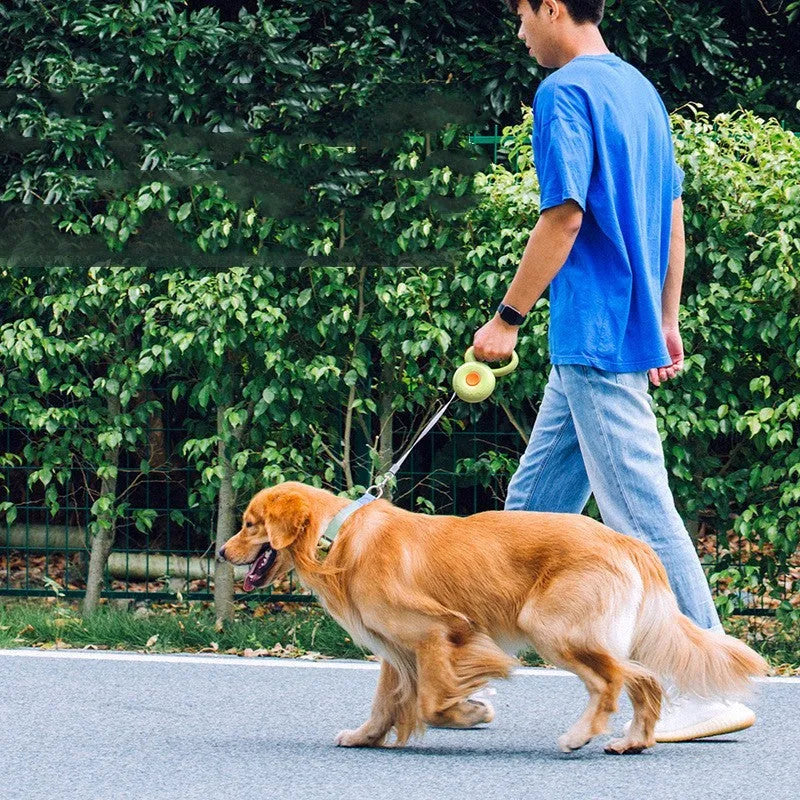 Retractable dog leash with reflective rope and ABS housing in green colour