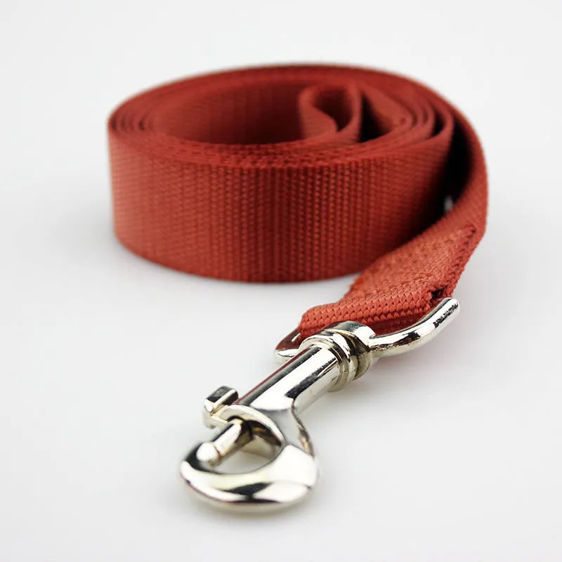 Solid colour polyester dog lead showing loop handle and single rope in one of twelve available colours.