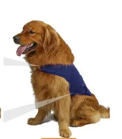 Dog wearing calming tank top vest in brocade cotton Ponte-de-Roma fabric for separation anxiety relief