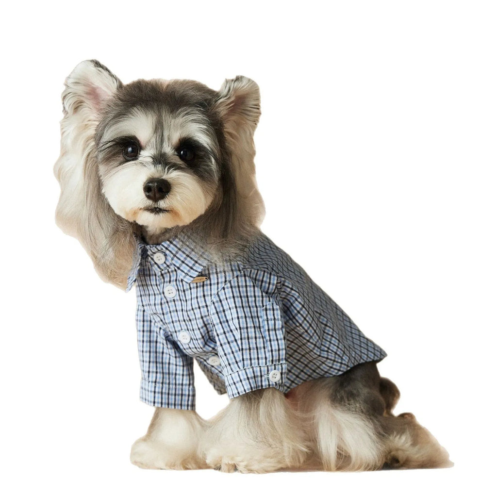 Light blue cotton plaid dog shirt for summer, shown on a small dog, size medium