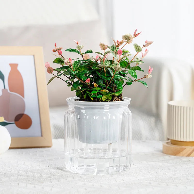 Self-absorbent transparent plastic resin flowerpot for desktop hydroponic planting of small green plants