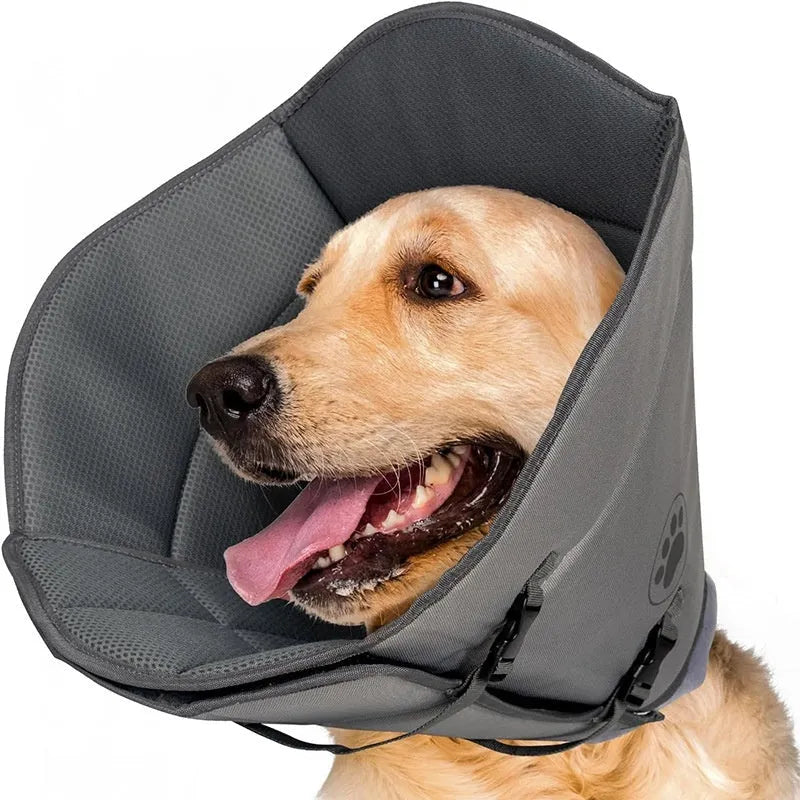 Adjustable polyester pet sterilization collar in sizes L, M, XL shown on a dog.