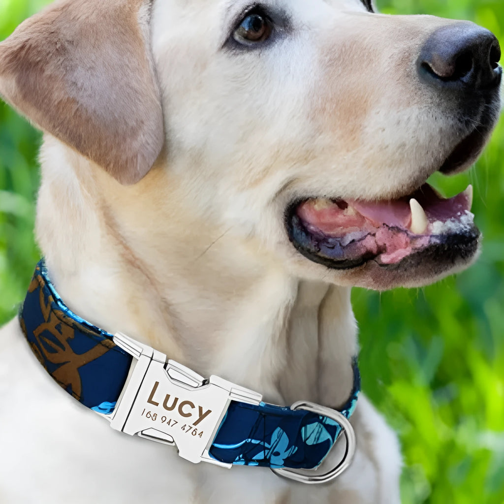 Dog collar shown in black, green, and rose red, labelled with Small, Medium, and Large size tags.
