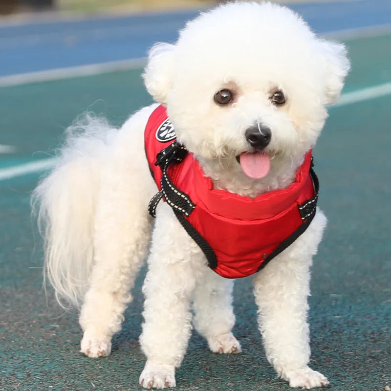 Pet warm dog cotton coat with thickened fleece lining in blue, size L