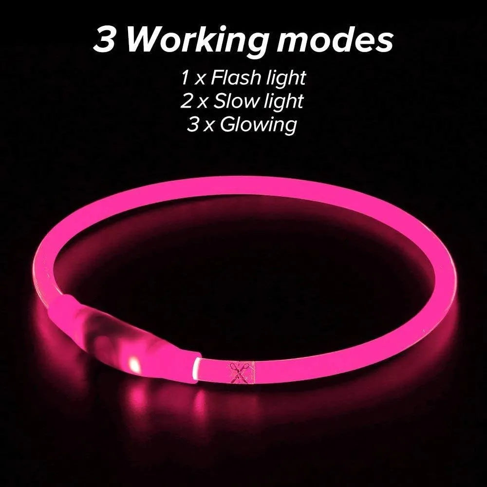 USB rechargeable LED dog collar glowing blue on dog's neck with adjustable TPU strap