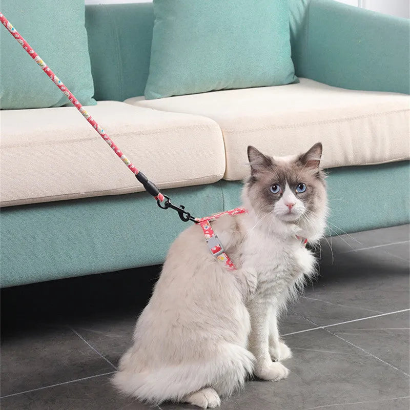 Cat I-shaped chest harness in Black with cotton rope and metal clip on white background