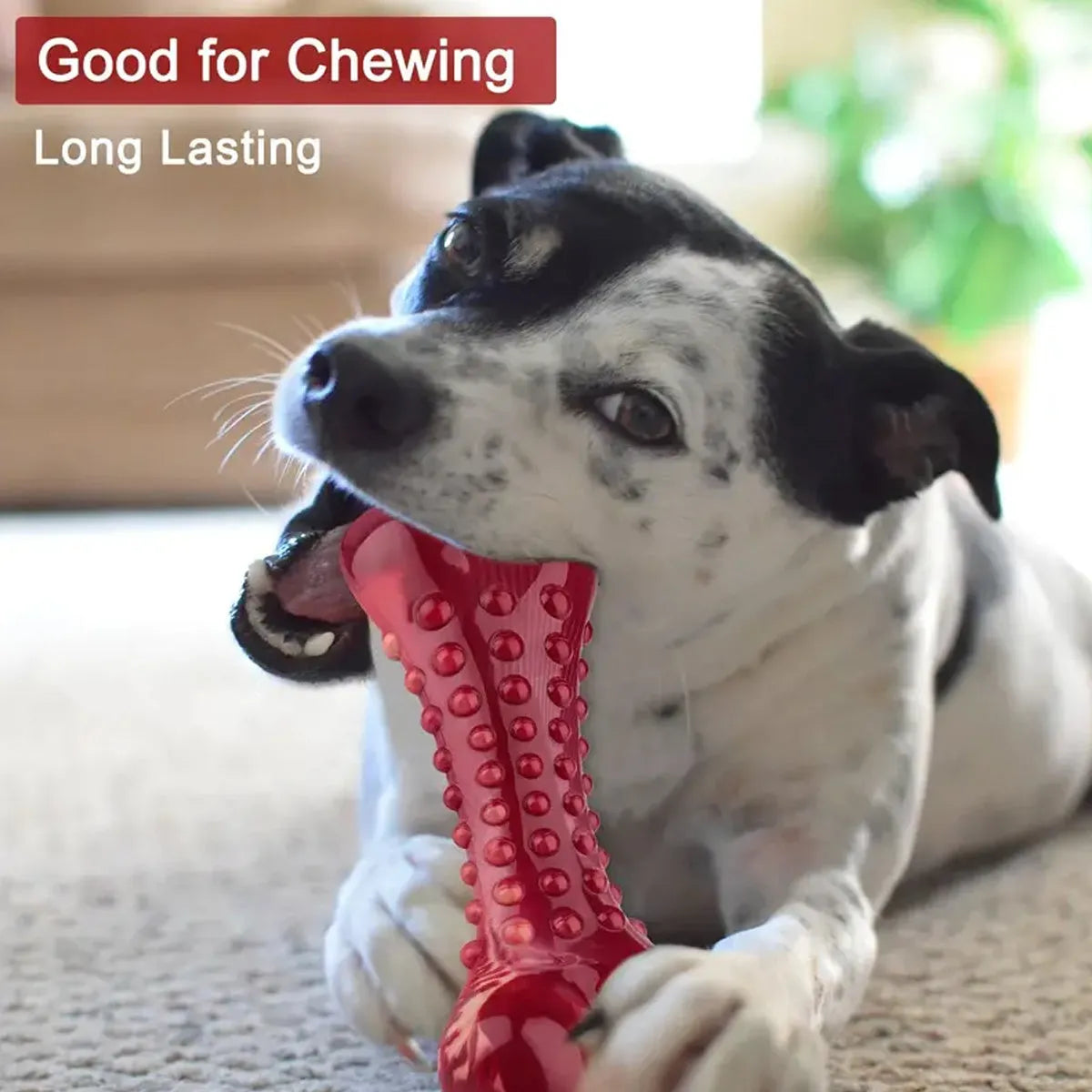 Red natural rubber chew toy for aggressive dogs with durable heavy-duty construction