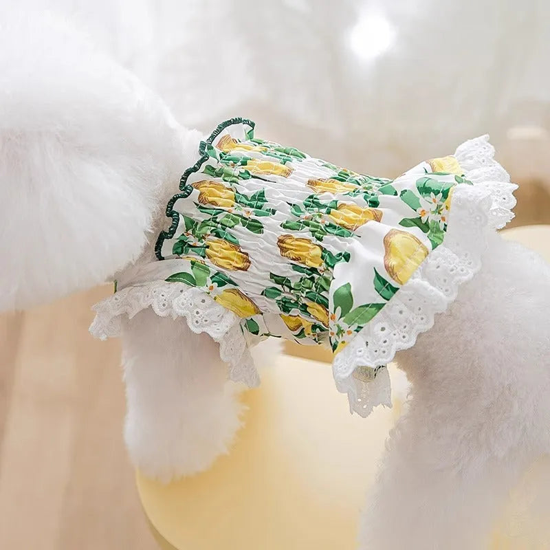 Rock yellow lemon coloured dog dress with thin straps and a skirt in a princess style.
