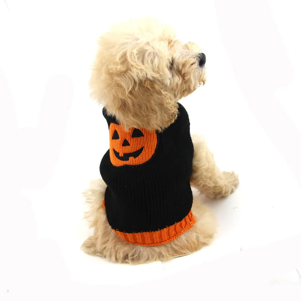 Knitted pumpkin dog sweater in orange black colour on a small dog, shown with measured sizing from XXS to 2XL