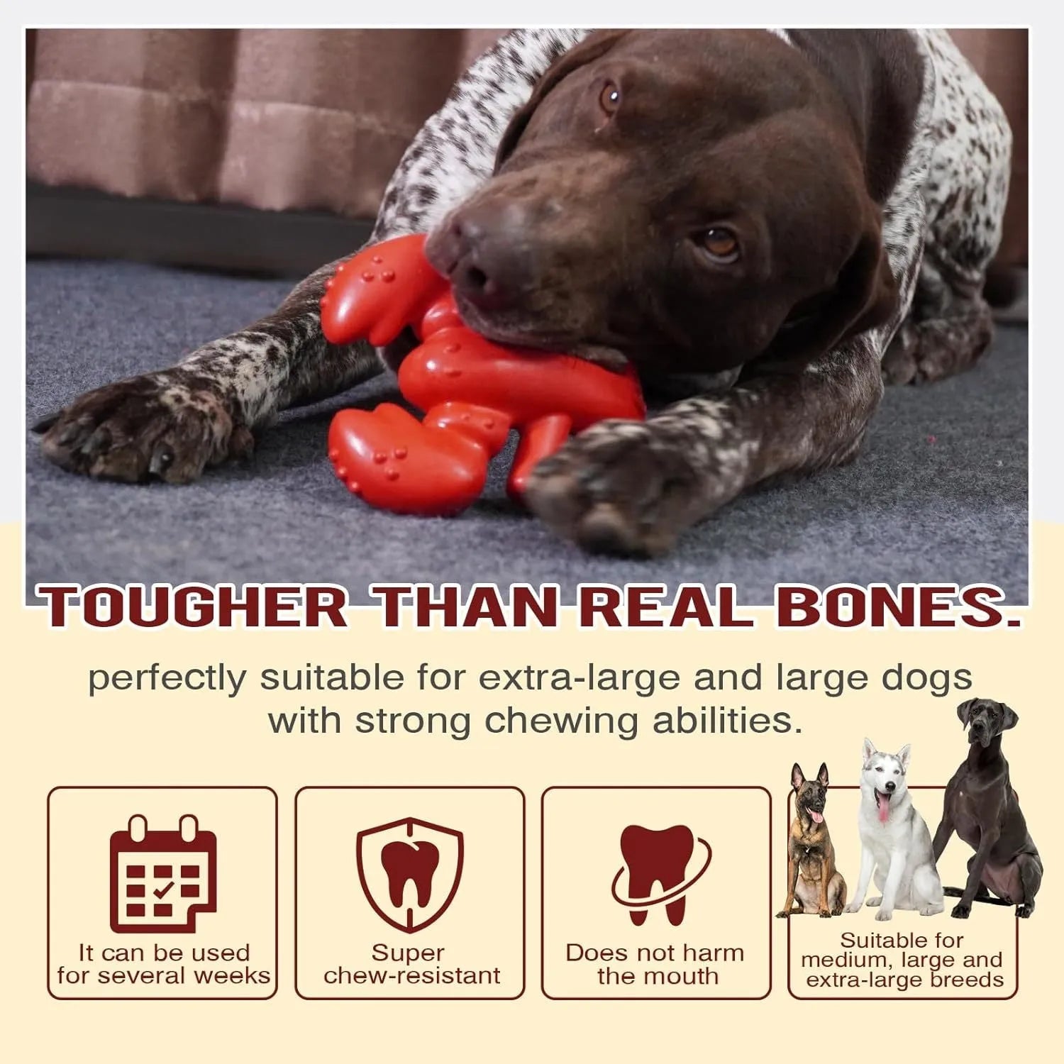 Red hard material dog chew toy for aggressive chewers measuring 170mm for large breed dogs