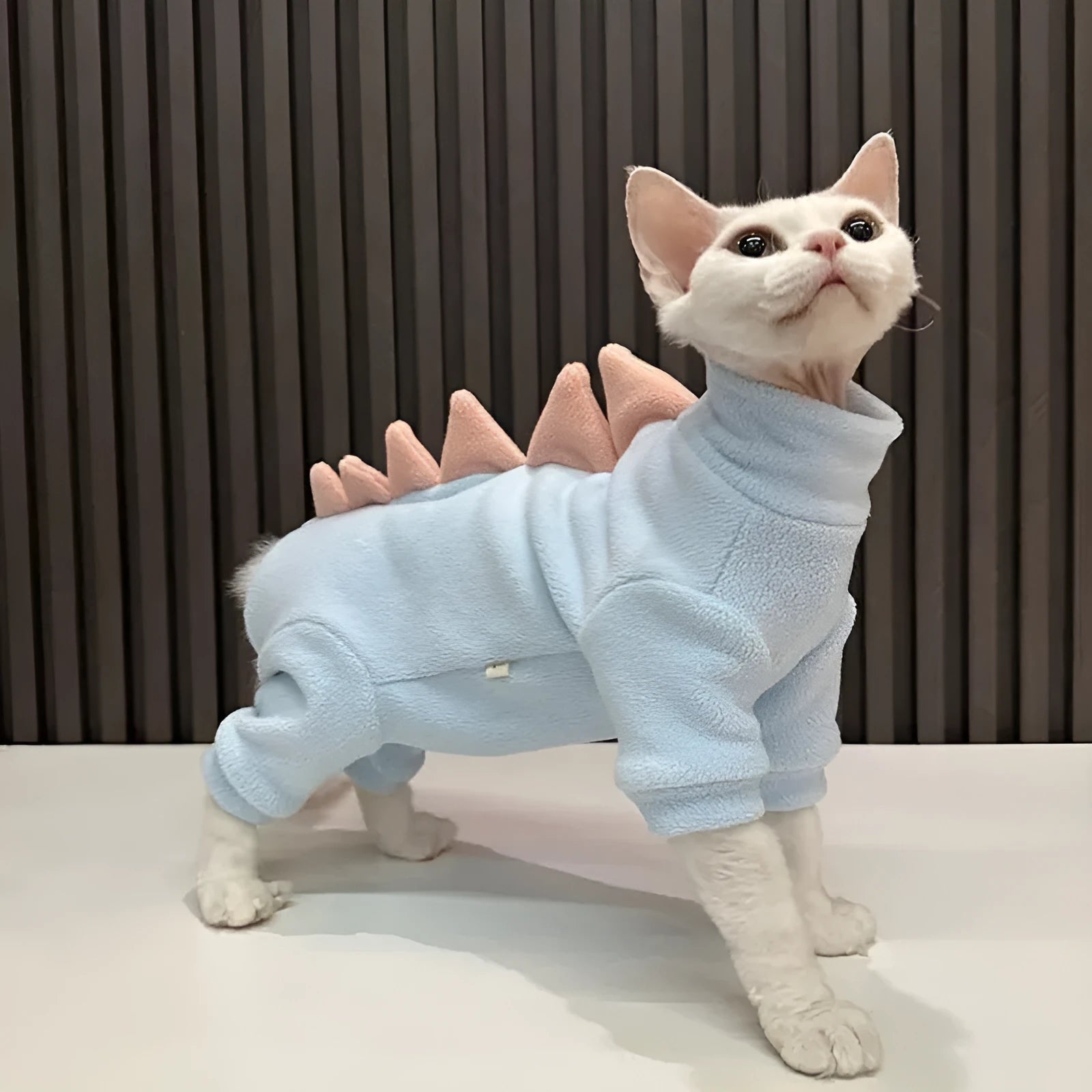 Sphynx cat wearing dinosaur costume with spikes and tail in soft fleece material