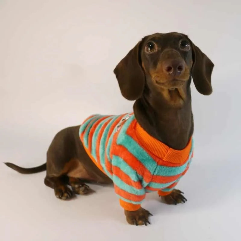 Orange and white striped round neck pet sweatshirt for dogs and cats