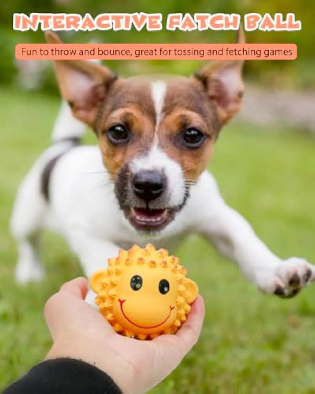 Set of two squeaky natural latex dog toys in lamb and monkey shapes, 3 inches diameter, orange and yellow colours