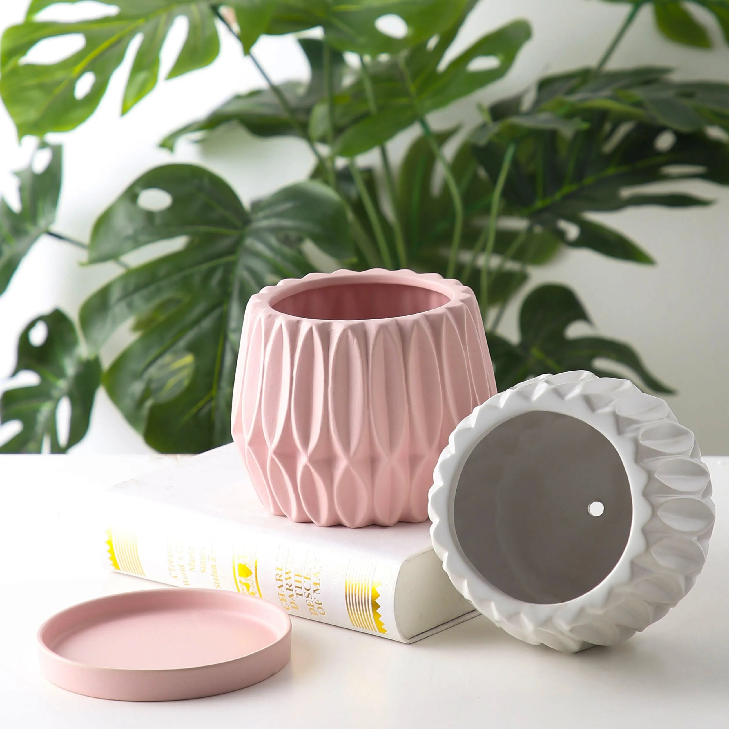A simple grey ceramic flowerpot on a tabletop, medium sized for plants.