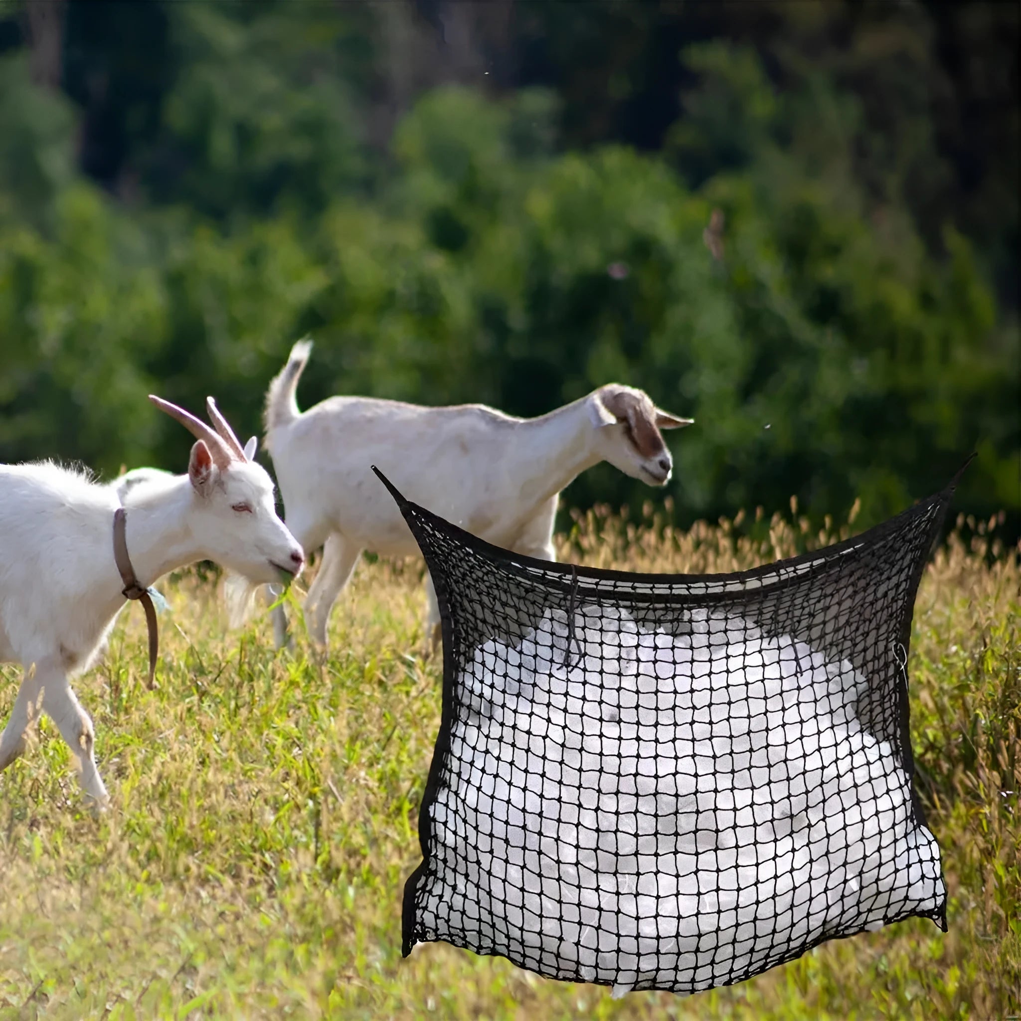 Woven polyethylene rope hanging feeding bag for livestock in a grid design.