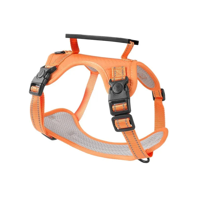 A polyester dog chest harness and lead set shown in a choice of colours including red and blue.