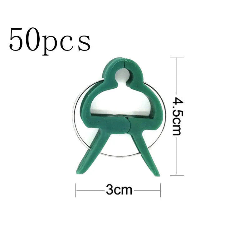 Green plastic and zinc plant fixing clips, showing large and small sizes for garden vine support.