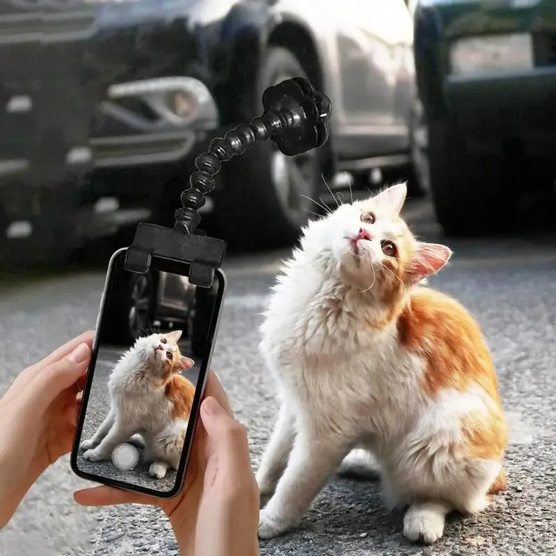 Black pet photography tool with treat clip and phone holder for dog and cat photography
