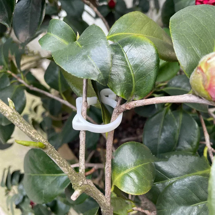 Cat-shaped plastic plant clip in gardening setting with colour options