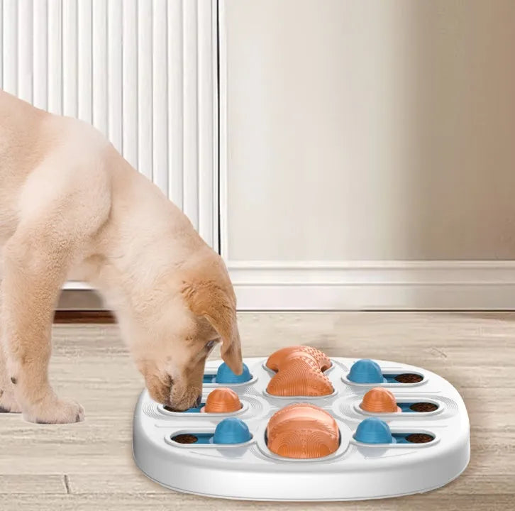 34.5cm slow food feeder for cats and dogs in plastic and silicone, busy disk licking plate on floor