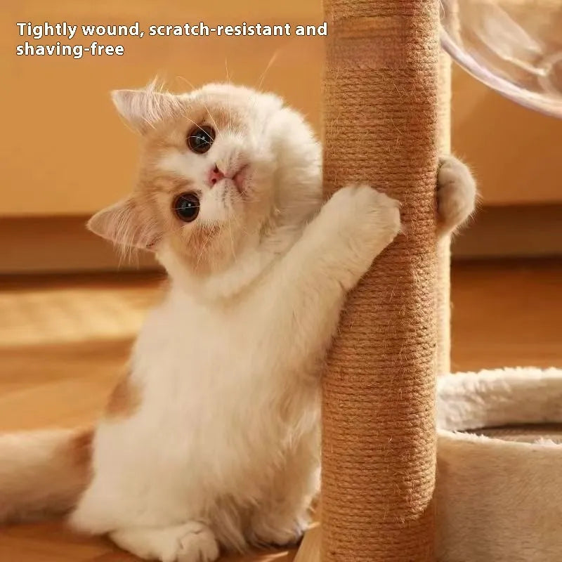 Wooden cat climbing frame with integrated space capsule in luxury colour