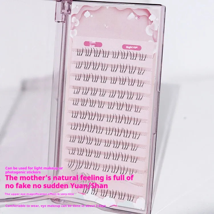 12-row segmented false eyelashes with sheer root and mixed 4-5-6mm lengths on a white background.