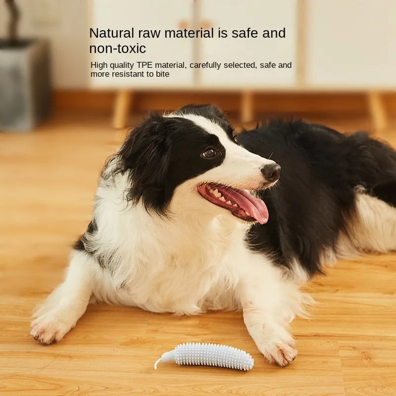Cucumber-shaped dog teething toy in green, pink and purple colours for bite-resistant chewing and training
