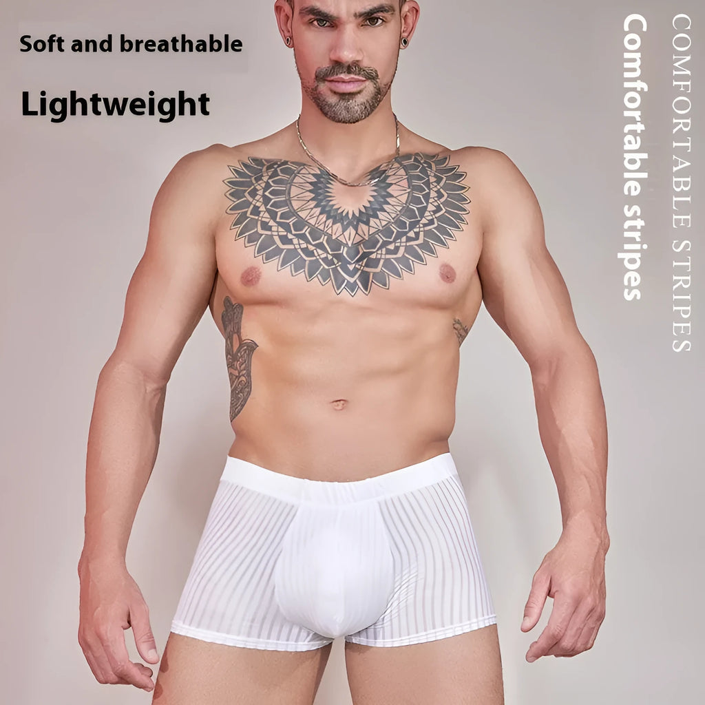 Men's striped thin transparent nylon underwear in Black, White, and Dark Gray free size briefs