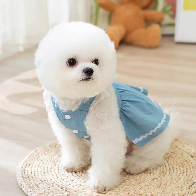 Strawberry print denim dog skirt in Bondi Blue colour with traction backing for small dogs