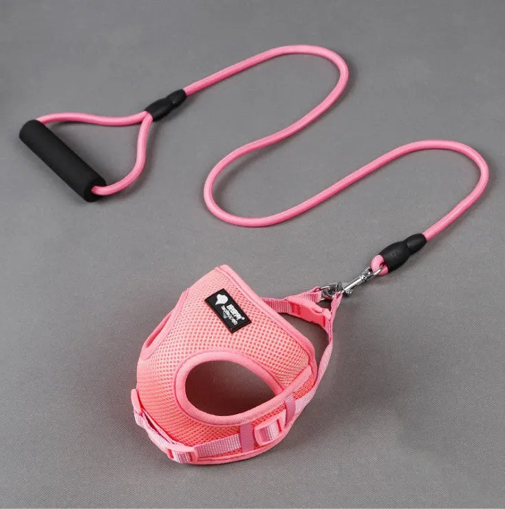 Blue dog lead with foam handle and adjustable collar for small dogs