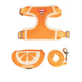 Pet backpack chest strap set with anti-slip rope in green, orange or pink colours