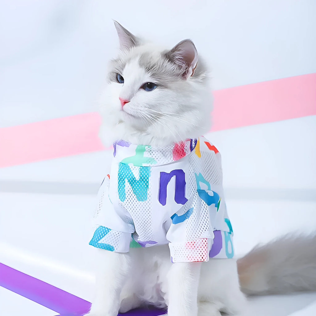 Colourful anti hair loss breathable mesh cat vest made from polyester on a cat